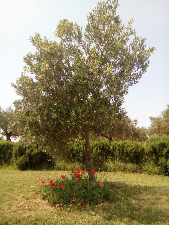 B&B Curica Doma Donje Polje Buitenkant foto